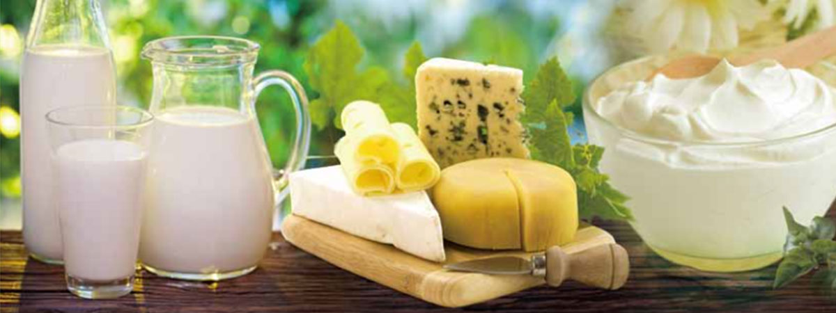 China International Dairy Expo 2014 (2)